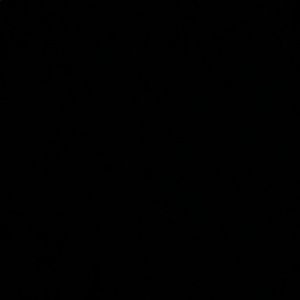 Meet your Posher, Merick